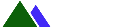 12X WEALTH STRATEGIES